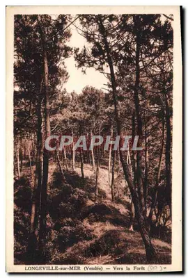 LONGEVILLE-sur-MER (Vendée) — Em direção à Floresta — (n° 0030)