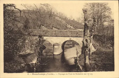Mouchamps (Vendée) — Paisagem sobre o Ponte de Boissière sobre o Lay — Fototipo Jehly-Roupin, Mortagne
