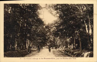 O Caminho sombreado de La Brossardière, perto de La Roche-sur-Yon — N. C. — n°47