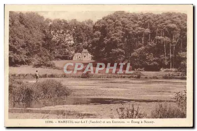 Mareuil-sur-Lay (Vendée) e seus arredores — Lago em Nesiny