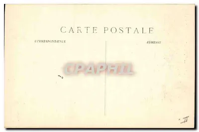 Toulon - Palmier (Tamaris) — widok palm — P. Ruat, wyd., Marsylia, nr 4399 — Rewers