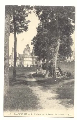 Chambord — Zamek — Przez drzewa — LL.