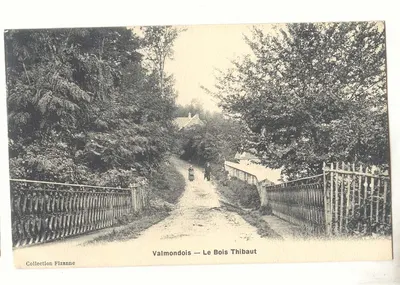 Valmondois — Le Bois Thibaut — Collection Fizanne