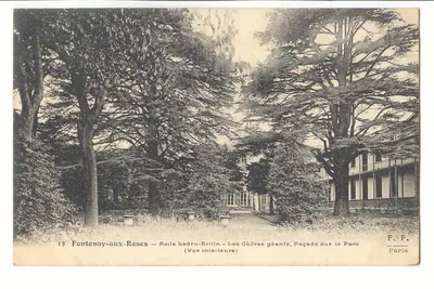 Fontenay-aux-Roses — Asilo Ledru-Rollin — Cedros Gigantes, Fachada sobre o Parque