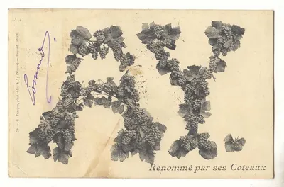 Ray — Renomado por seus Coteaux — G. Frajoux, fot.édit. & Ay (Maine)