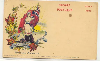 Canadá cartão postal privado The Maple Leaf for Ever Patraim Amamus Canadá Patriótico Carte postale RaRiSSIME Raro
