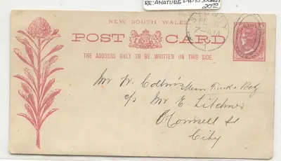 Australia New South WAles stationary with printed message Amateur Photo Society (australie lettre fleur flower plant