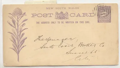 Austrália 1894 New South Wales cartão de uso local (estação de correspondência australiana flor planta)