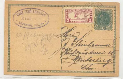 Österreich 1919 QE 3 Sonderbehandlungsstempel perf 11 1/2 auf Briefkarte (lettre osterreich briefe stationary autriche)