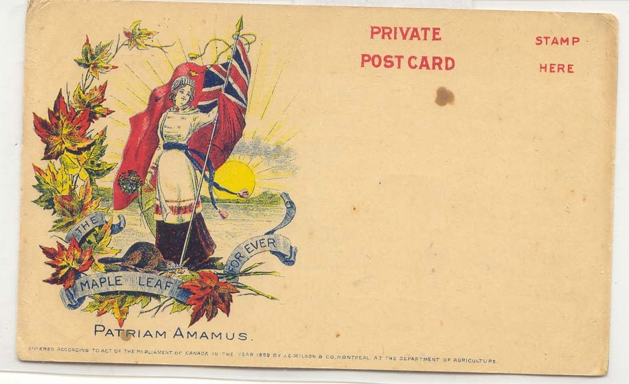 Canada private postcard The Maple Leaf for Ever Patraim Amamus Canada Patriotic Carte postale RaRiSSIME Scarce